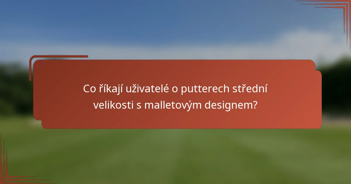 Co říkají uživatelé o putterech střední velikosti s malletovým designem?