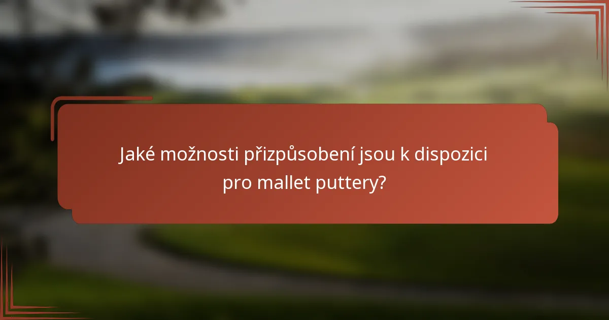 Jaké možnosti přizpůsobení jsou k dispozici pro mallet puttery?